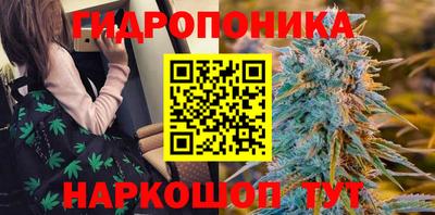 Альфа ПВП Бийск
