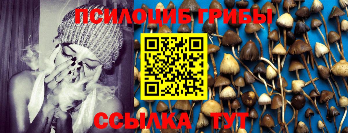 Касимов  Псилоцибиновые грибы Magic Shrooms  Вход с VPN 