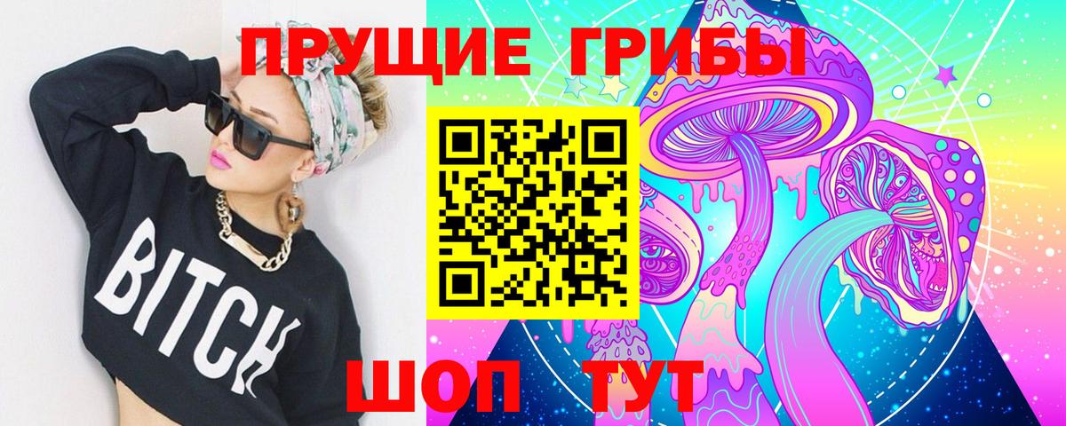 Псилоцибиновые грибы GOLDEN TEACHER Касимов